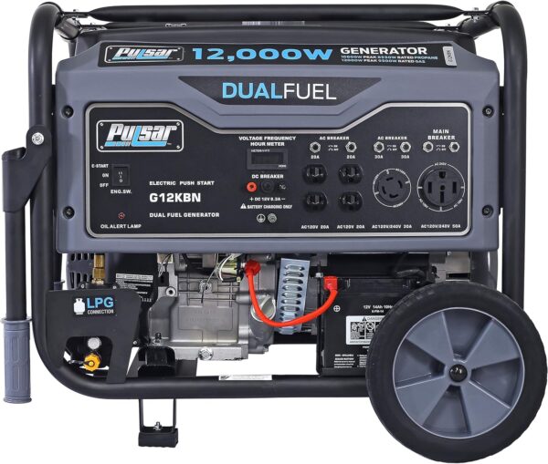 CE-424 PULSAR 12,000 WATT HYBRIDO 110/220